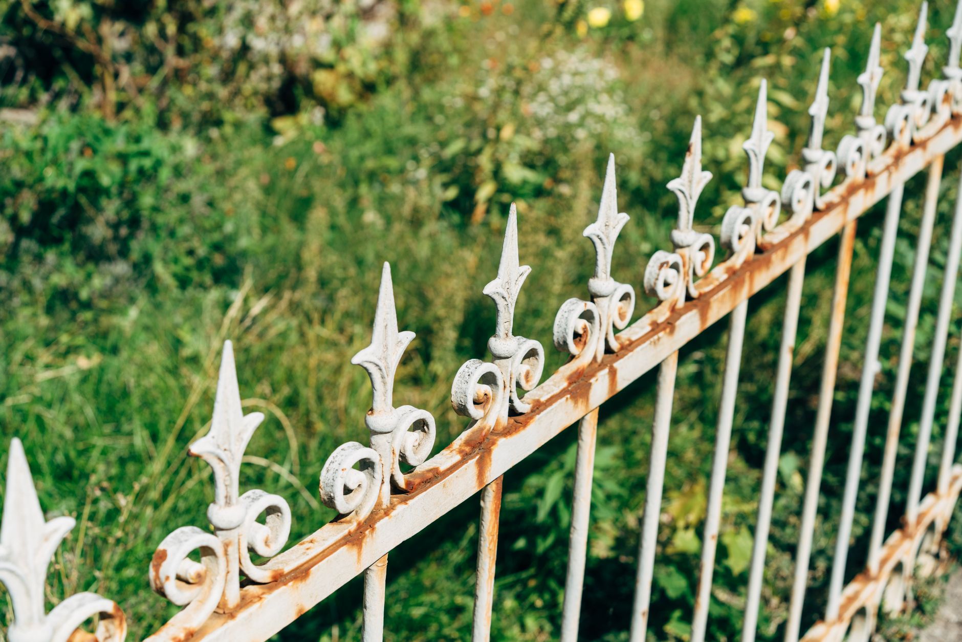 Ornate iron fence in a garden