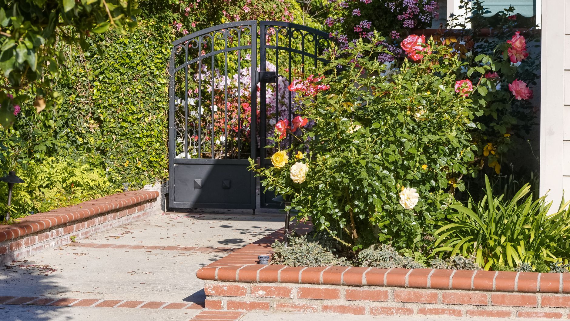 Garden iron gate with roses