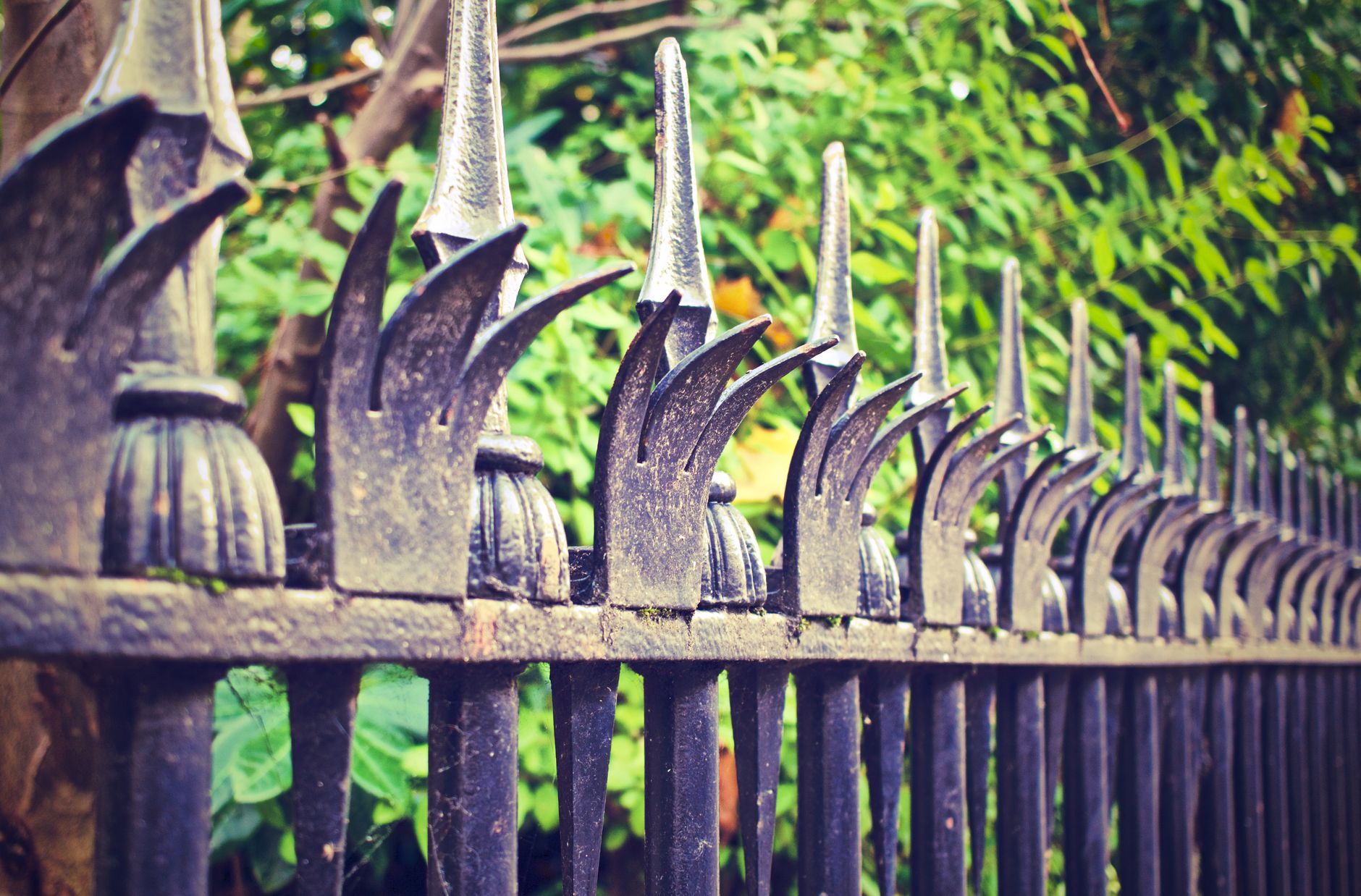 Close-up of ornamental iron work